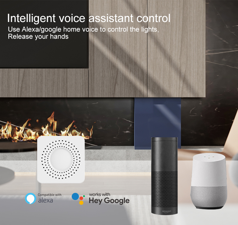 Tuya Mini Smart Switch WiFi 1- - Smart Relay Tuya review and price